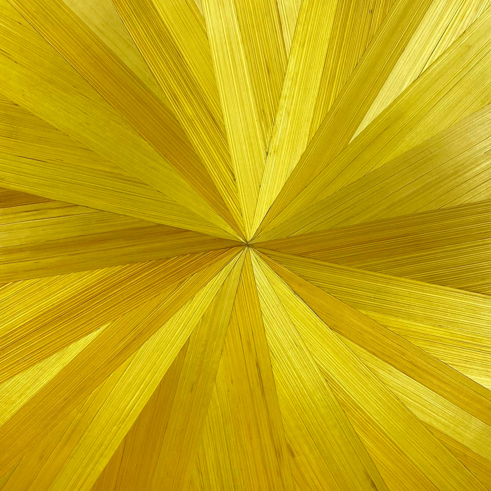 Atelier LASTO - Stéphanie TROLEZ - Nuancier paille jaune F1