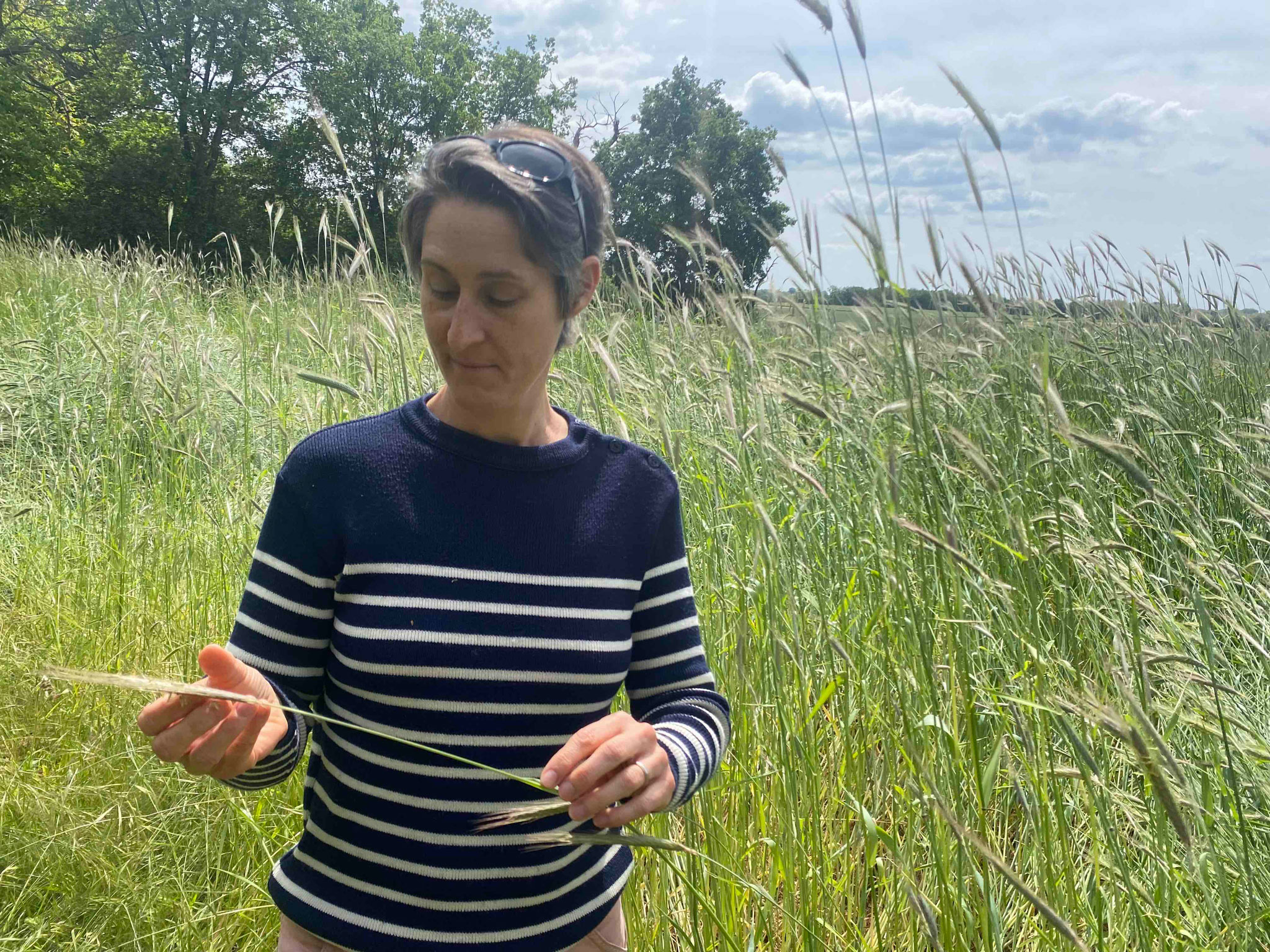 Atelier LASTO - Stéphanie TROLEZ - Production de paille de seigle