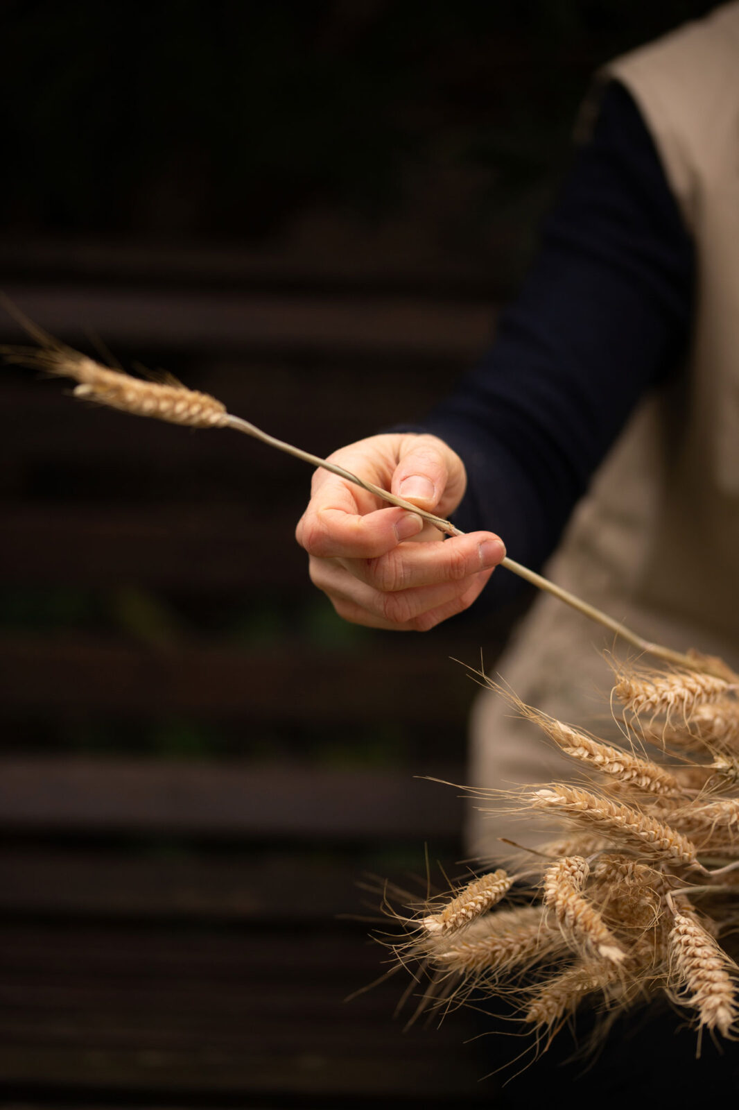 Atelier LASTO - Stéphanie TROLEZ - Façonnage et teinture de la paille de seigle