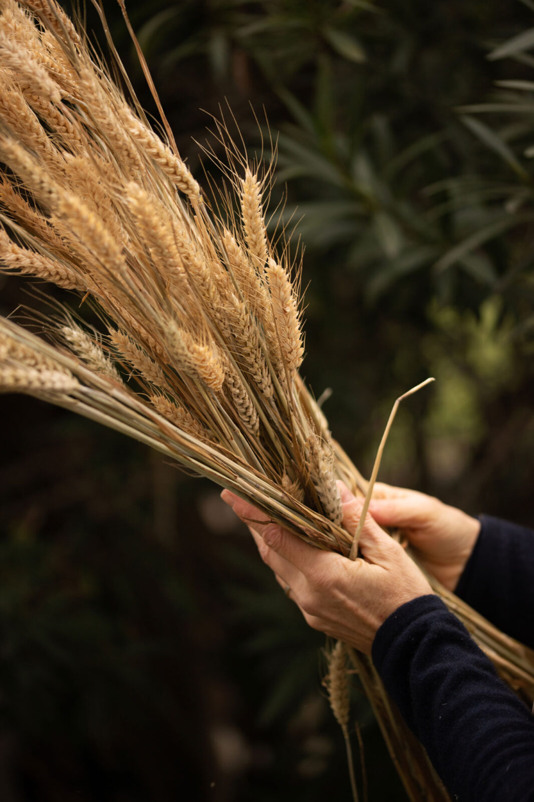 Atelier LASTO - Stéphanie TROLEZ - Façonnage et teinture de la paille de seigle