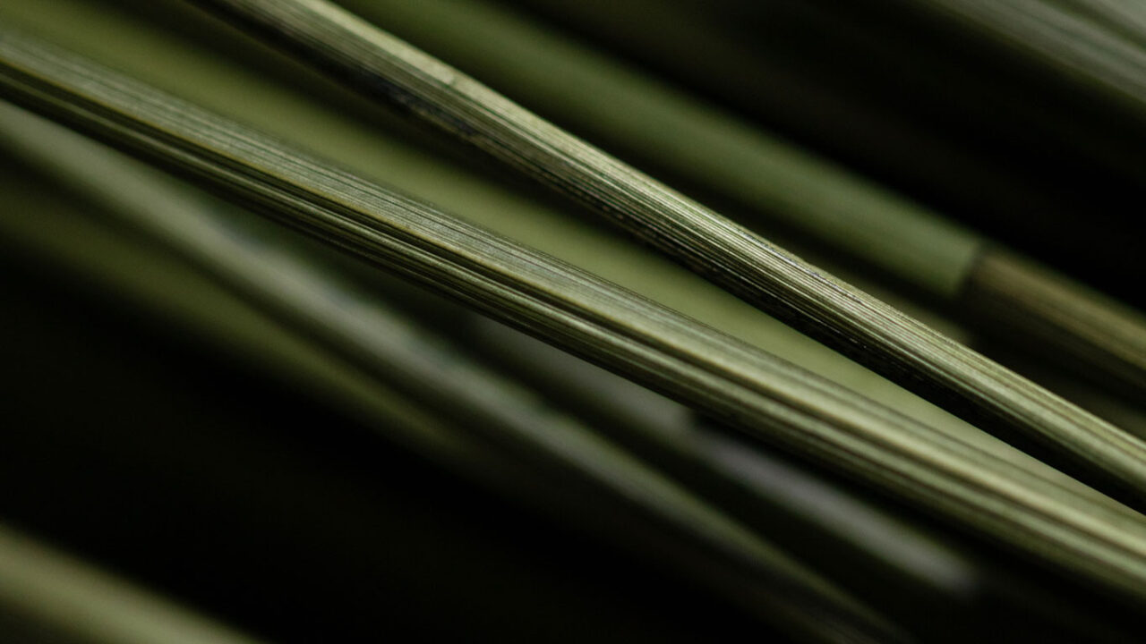 Atelier LASTO - Stéphanie TROLEZ - Nuancier de paille de seigle