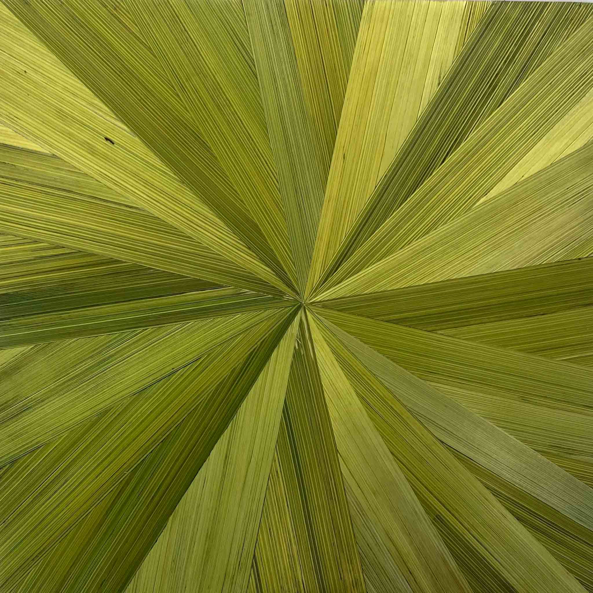 Atelier LASTO - Stéphanie TROLEZ - Nuancier - Échantillon soleil - Céladon Saxe